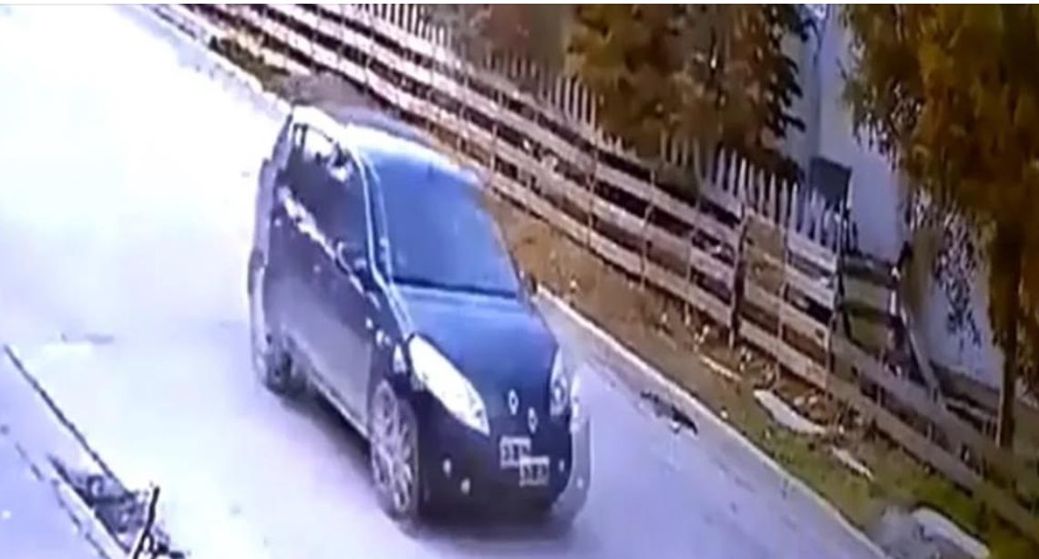 #Urgente: Buscan A Conductor Que Atropello Un Perrito Y Huyo. #Urgente: Buscan A Conductor Que Atropello Un Perrito Y Huyo.