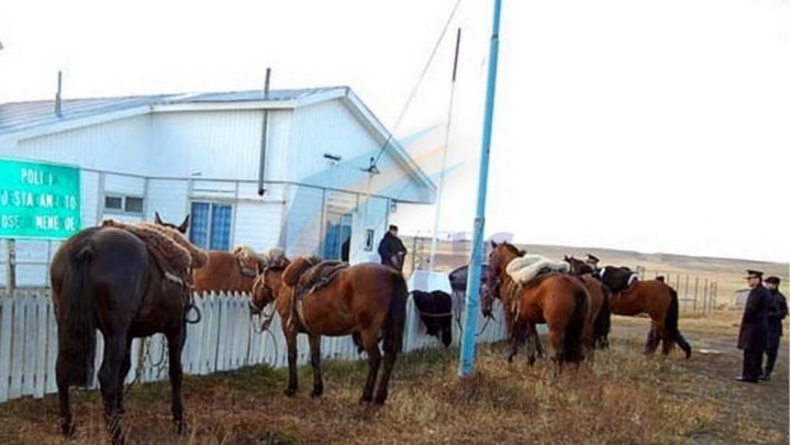 Brigada Rural Incautó Cinco Caballos En El Puesto José Menéndez