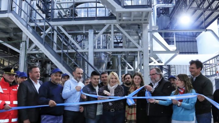 BERTONE: “TENGO ESPERANZA EN QUE AMPLIEMOS LA 19640 Y VOLVAMOS A FABRICAR NUEVOS PRODUCTOS”﻿
