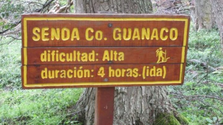 Se encuentra abierta al público la Senda del Guanaco