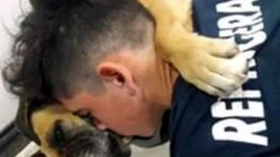 La Conmovedora Imagen De Una Perrita Que Murió En Brazos De Su Dueño A Causa De La Pirotecnia