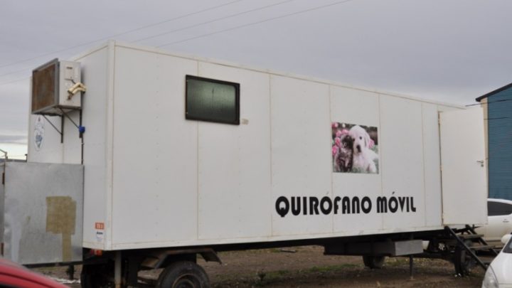 Quirófanos móviles en la Margen Sur y Barrio Mutual: horarios para la castración de perros y gatos