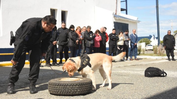 Capacitaron a perros para la detección de drogas