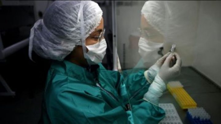 CORONAVIRUS: CASOS POSITIVOS. 63 en Tierra del Fuego