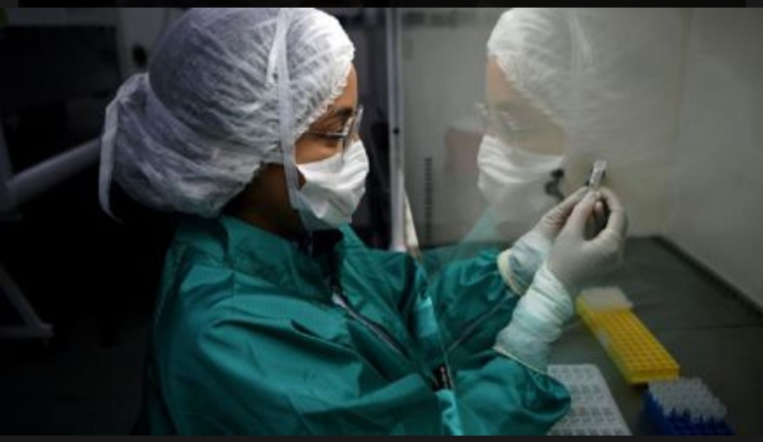 CORONAVIRUS: CASOS POSITIVOS. 63 en Tierra del Fuego