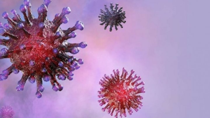 Un fármaco antiparasitario podría eliminar al coronavirus en 48 horas