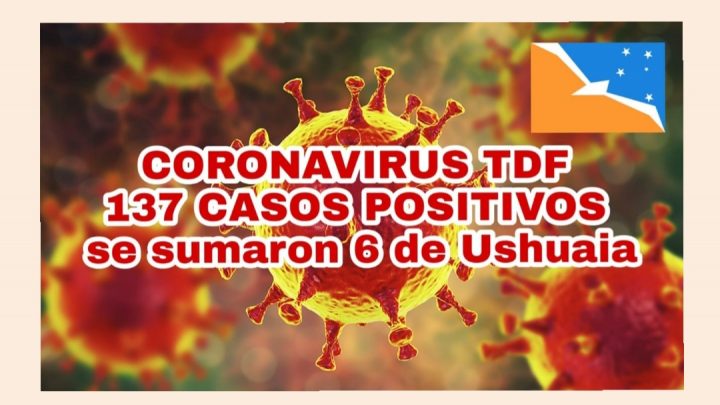 Totalidad de casos confirmados en Tierra del Fuego a la fecha 137 (*). Se registran 6 nuevos casos en la ciudad de Ushuaia.