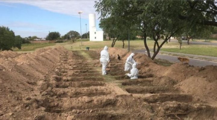 Cavan Cientos De Fosas En Un Cementerio De Córdoba Para Anticiparse A La Pandemia