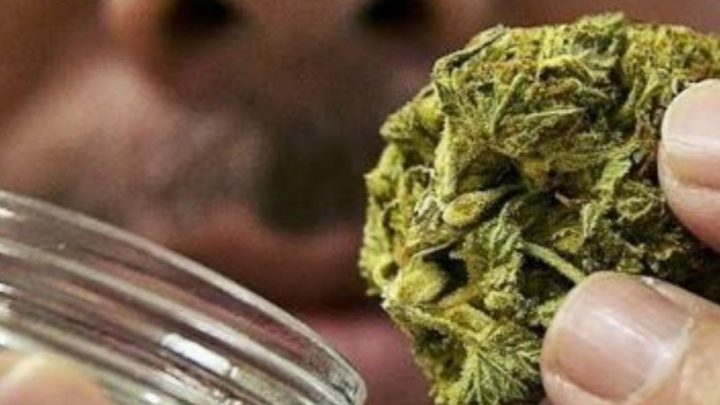 Fue A Comprar Marihuana, Le Vendieron Pasto Seco Y Sus Amigos Lo Secuestraron Para Recuperar La Plata