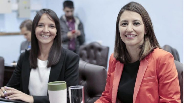 VUOTO Y COLAZO: Las Legisladoras del Partido Verde reclamaron al Gobernador Melella que se respete la Constitución