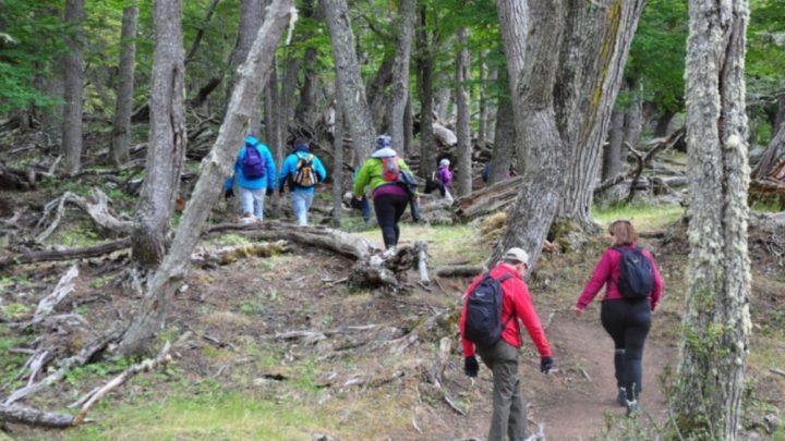 Trekking Y Automovilismo, Las Próximas Actividades Que Se Habilitarán Desde El Gobierno