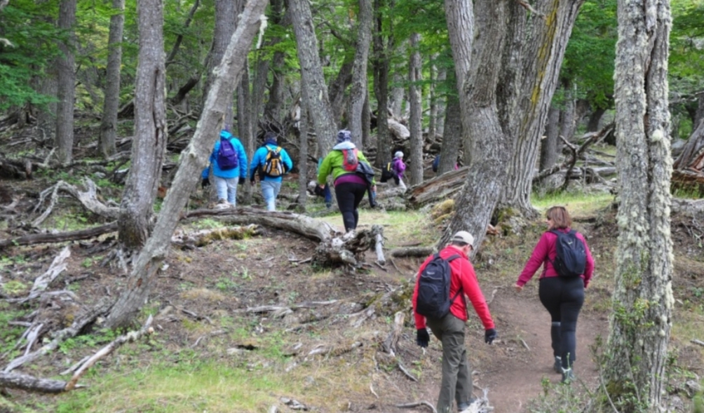 Trekking Y Automovilismo, Las Próximas Actividades Que Se Habilitarán Desde El Gobierno
