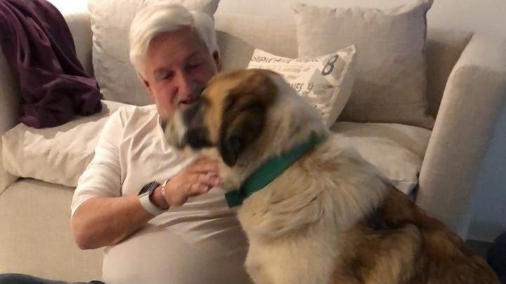 DURANTE LA CUARENTENA, 23 PERROS DE LOS CANILES MUNICIPALES ENCONTRARON UN HOGAR DONDE VIVIR