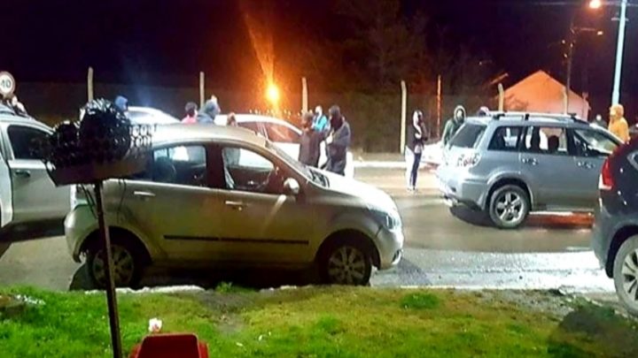 Secuestran 20 plantas de marihuana en Ushuaia