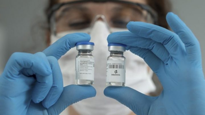 Investigadores argentinos neutralizan el coronavirus en laboratorio con suero de caballos