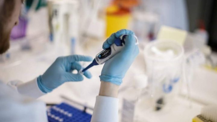 Coronavirus: ya hay fecha para una posible vacuna contra la enfermedad