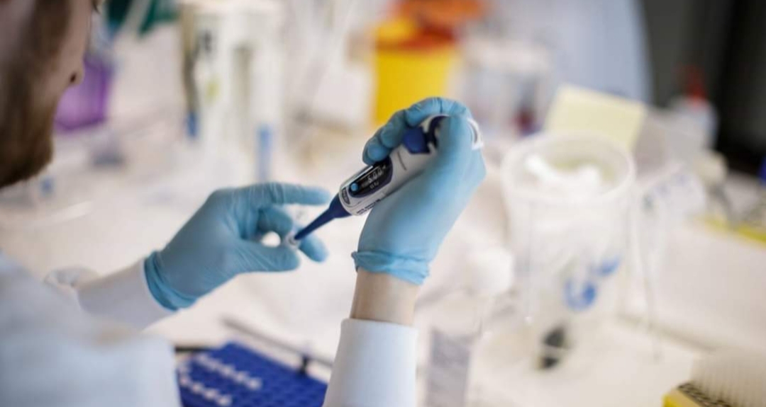 Coronavirus: ya hay fecha para una posible vacuna contra la enfermedad Coronavirus: ya hay fecha para una posible vacuna contra la enfermedad