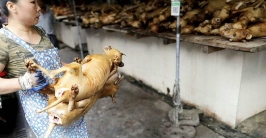 Pese a la alerta sanitaria por el coronavirus, China abrió su feria anual de carne de perro
