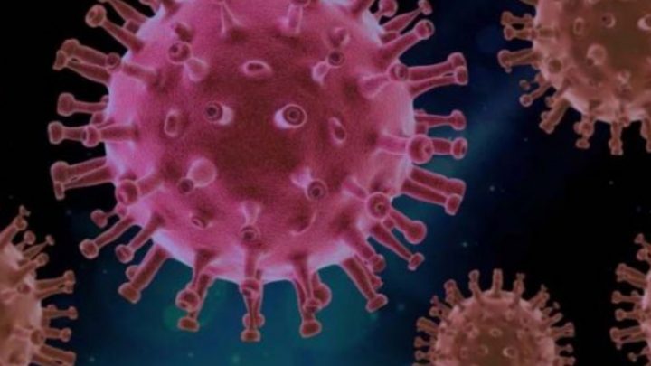 Alerta mundial por coronavirus: se multiplican los rebrotes y detectan una cepa 6 veces más infecciosa