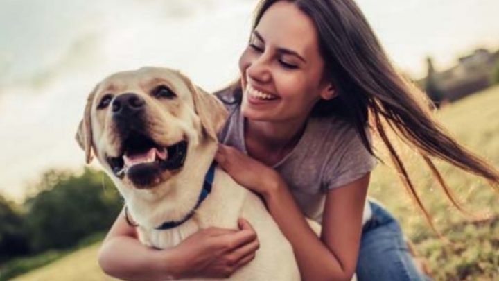 Aseguran que cuidar un perro trae beneficios para la salud mental