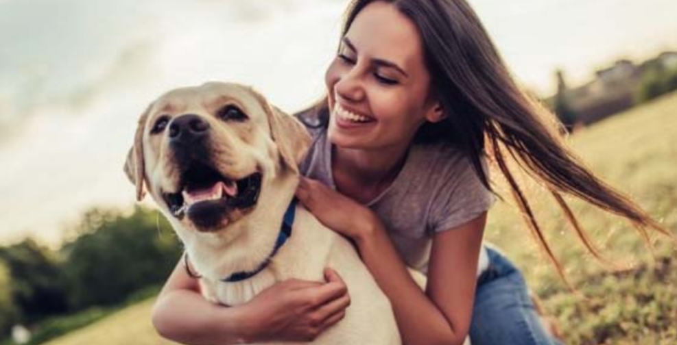 Aseguran que cuidar un perro trae beneficios para la salud mental Aseguran que cuidar un perro trae beneficios para la salud mental