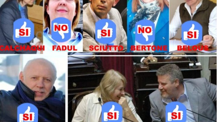 A 10 años del matrimonio igualitario: cómo votaron los fueguinos en el Congreso