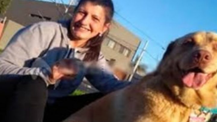 Una enfermera que atendía pacientes con coronavirus denunció que sus vecinos mataron a sus mascotas