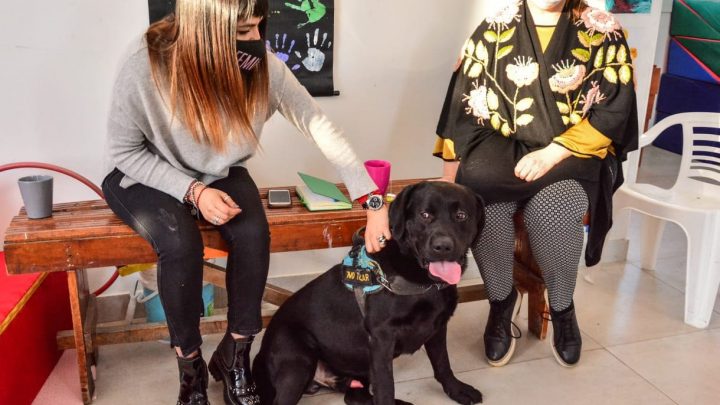LA MUNICIPALIDAD DE USHUAIA TRABAJA EN LOS PROTOCOLOS PARA LA HABILITACIÓN DE ACTIVIDADES DE TERAPIA ASISTIDA CON PERROS