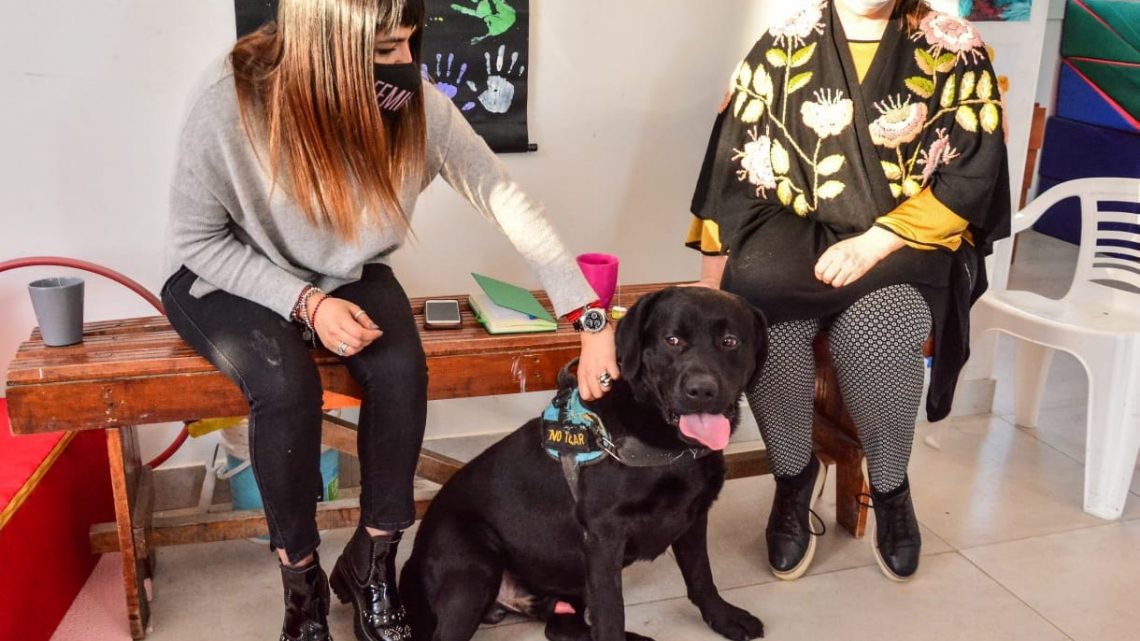 LA MUNICIPALIDAD DE USHUAIA TRABAJA EN LOS PROTOCOLOS PARA LA HABILITACIÓN DE ACTIVIDADES DE TERAPIA ASISTIDA CON PERROS LA MUNICIPALIDAD DE USHUAIA TRABAJA EN LOS PROTOCOLOS PARA LA HABILITACIÓN DE ACTIVIDADES DE TERAPIA ASISTIDA CON PERROS