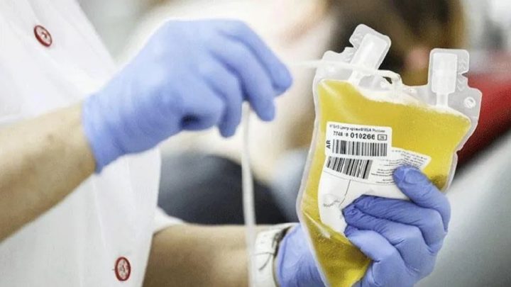 Coronavirus: joven gay quiso donar plasma y lo rechazaron