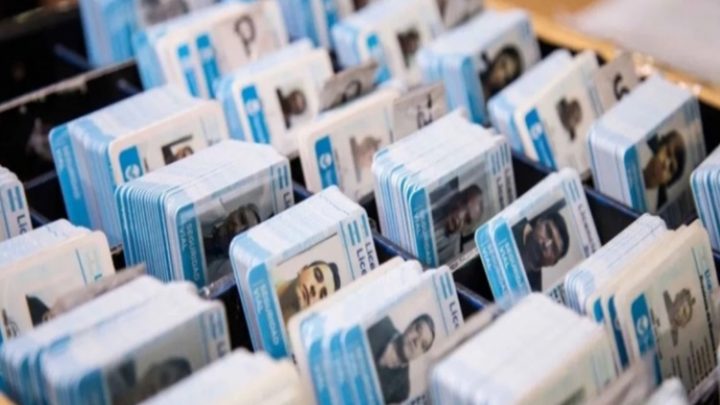 Denuncian estafas con licencias de conducir en Ushuaia