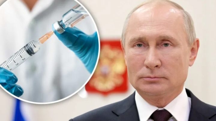 Vacuna rusa: Putin celebró el registro del fármaco y dio a conocer la fecha de distribución