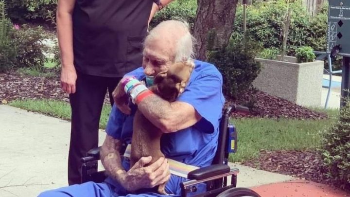 Tiene 86 años, sufrió un ACV y su perro le salvó la vida