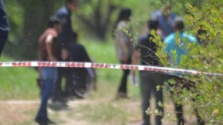 Nena de 12 años salió a buscar leña y su vecino la violó en el monte
