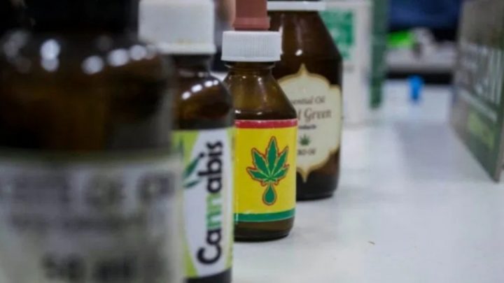 Aprobaron el autocultivo medicinal del cannabis en Santa Fe