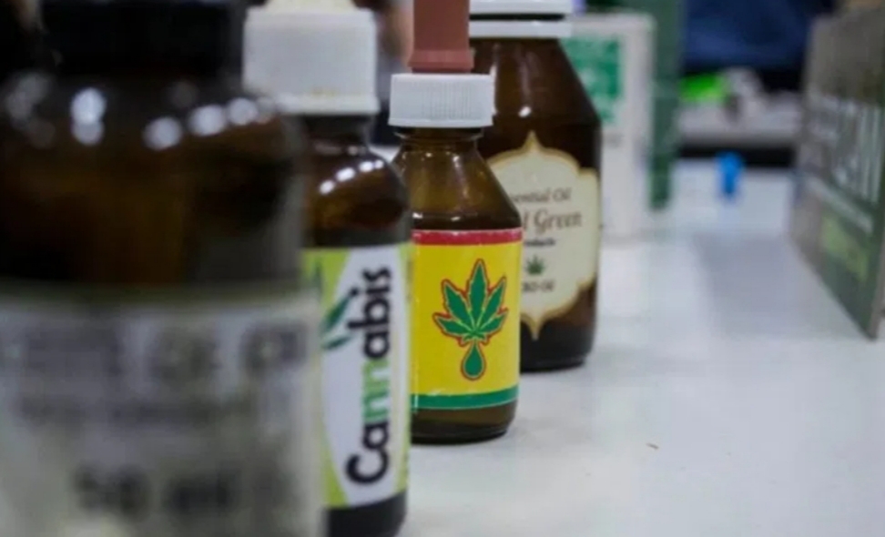 Aprobaron el autocultivo medicinal del cannabis en Santa Fe