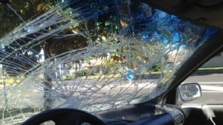 Le Gritó Desde El Auto «Mové El Culito, Mamita» Y Ella Le Reventó El Parabrisas A Piedrazos