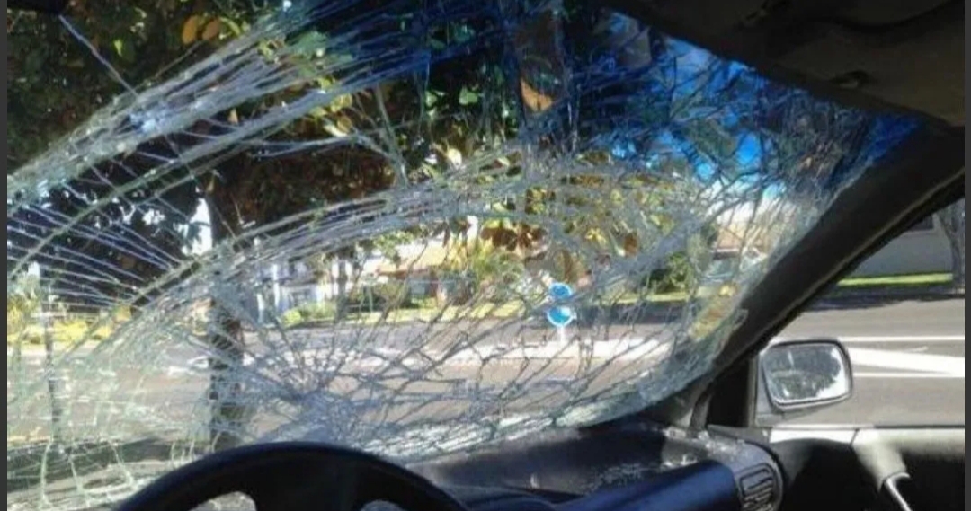 Le Gritó Desde El Auto «Mové El Culito, Mamita» Y Ella Le Reventó El Parabrisas A Piedrazos