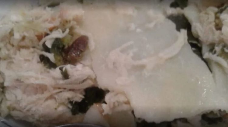 Una paciente denunció que una clínica le sirvió “lasagna de cucarachas”