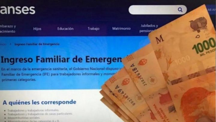 Deberán devolver el IFE: Presos, menores de 25 que viven con sus padres, y personas que falsificaron datos