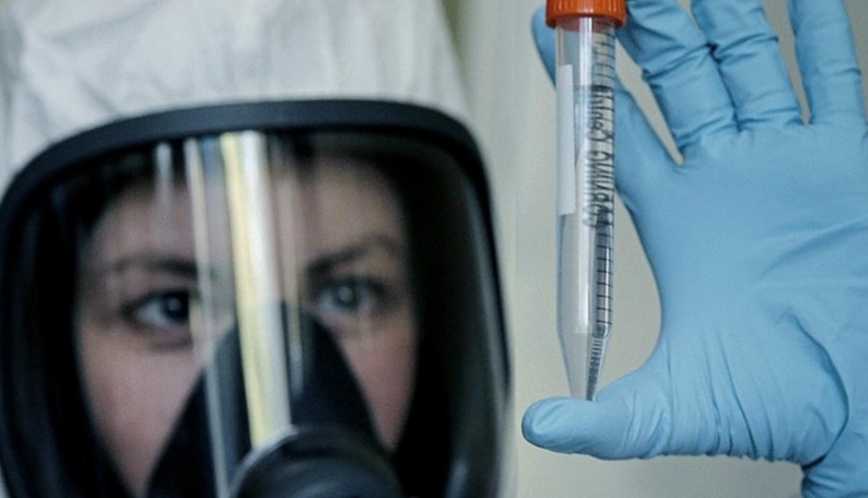 Una sola vacuna podría prevenir infecciones globales de coronavirus Una sola vacuna podría prevenir infecciones globales de coronavirus