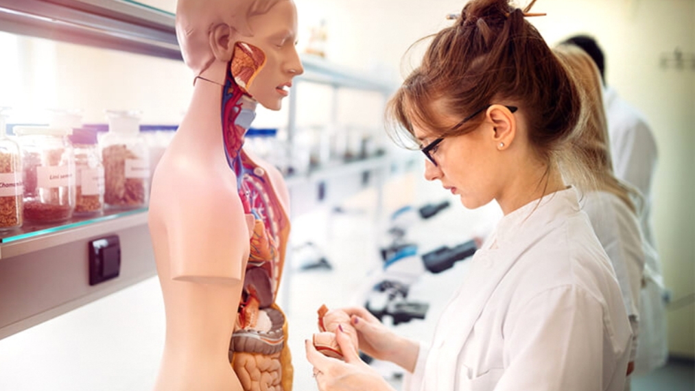 La elección vocacional en tiempos de incertidumbre o… Carreras sanitarias, las preferidas en tiempos de pandemia La elección vocacional en tiempos de incertidumbre o… Carreras sanitarias, las preferidas en tiempos de pandemia