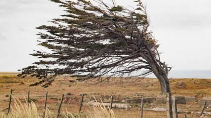 Defensa Civil alerta por fuertes vientos