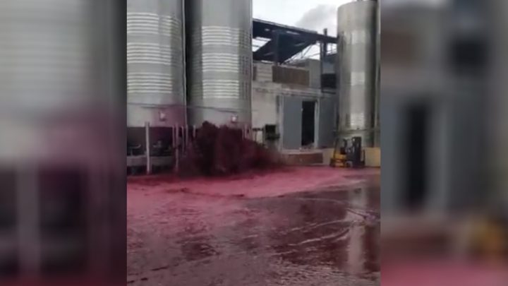 Se reventó un depósito con 50 mil litros de vino tinto (y hubo un tsunami de malbec)