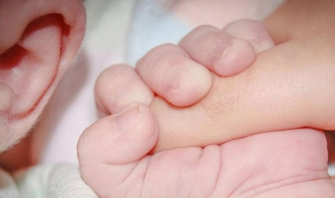 Un abuelo abandonó a su nieto en una caja de pizza: “No tengo para mantenerlo” Un abuelo abandonó a su nieto en una caja de pizza: “No tengo para mantenerlo”
