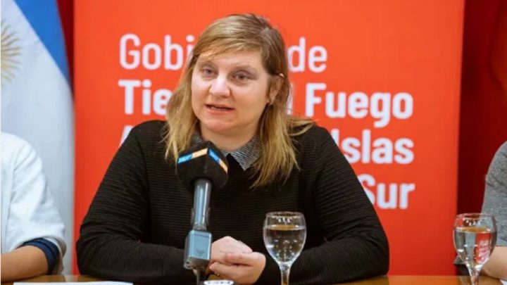 Di Giglio: “La persona que no tiene PCR negativo y no cuenta con domicilio en la provincia no puede subir a un vuelo”