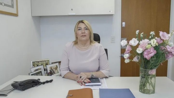 Bertone: «La ampliación del STJ va a contramano de lo que la sociedad de TDF necesita»