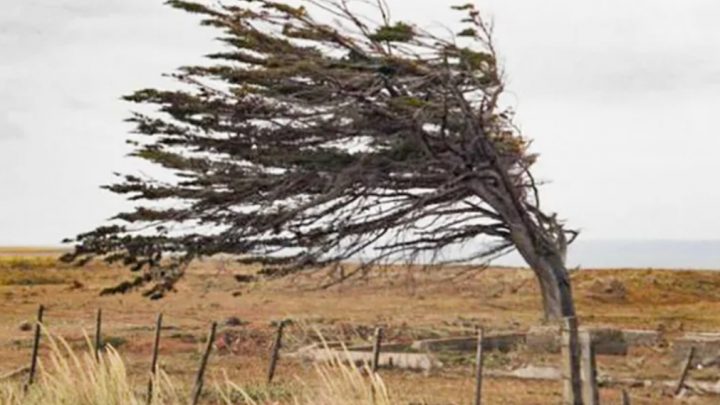 Defensa Civil alerta por fuertes vientos