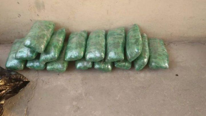 Descubren 22 kilos de hojas de coca en camioneta en la que viajaban 8 concejales de Salta