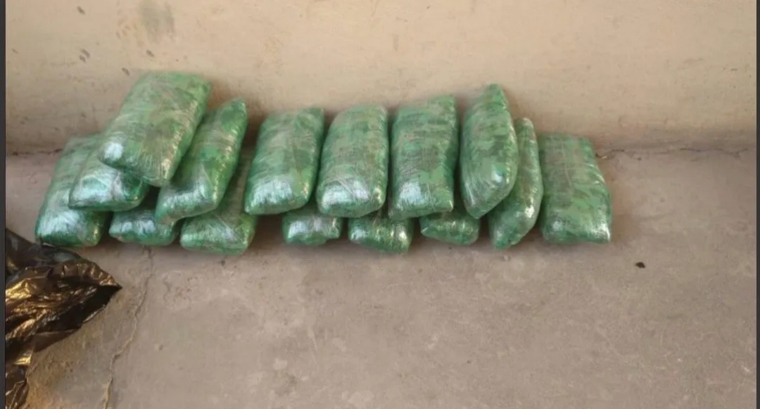Descubren 22 kilos de hojas de coca en camioneta en la que viajaban 8 concejales de Salta